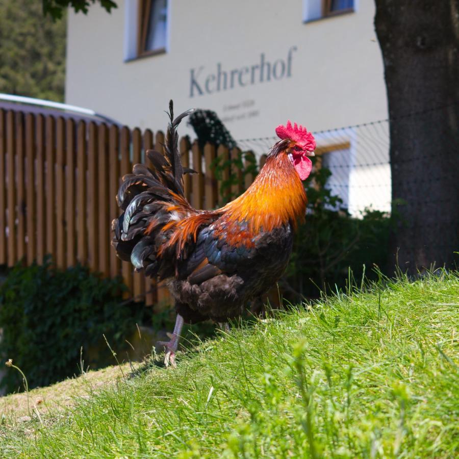 Hotel Kehrerhof Ellbögen Exteriér fotografie